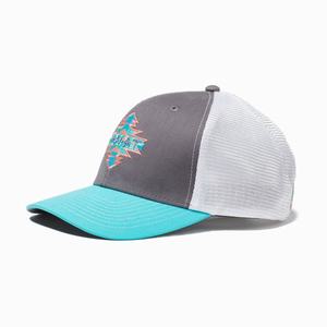 Ariat Aztec Logo Snapback Hatt Dam Grå | 478-IBAMGE