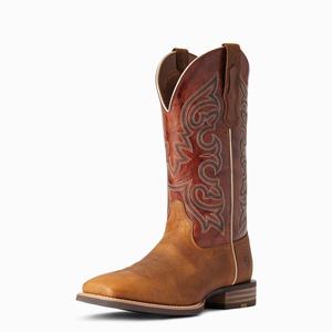 Ariat Everlite Go Getter Western Stövlar Herr Olika Färger | 745-THCFYG