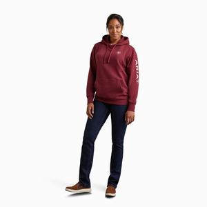 Ariat Logo Hoodie Dam Olika Färger | 384-POYNZQ