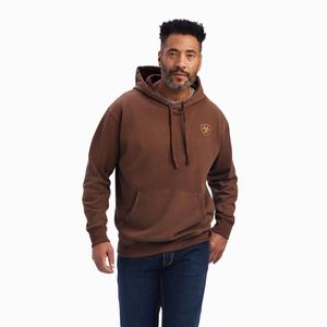 Ariat Logo Hoodie Herr Bruna | 982-HNJYFK