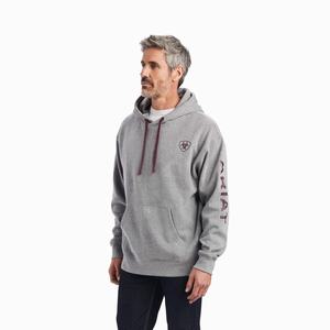 Ariat Logo Hoodie Herr Grå | 837-LXHNYJ