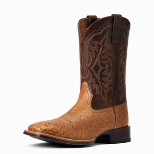 Ariat Night Life Ultra Western Stövlar Herr Olika Färger | 951-UDFTXY