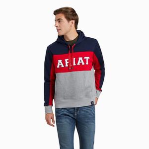 Ariat Rabere Team Hoodie Herr Marinblå | 856-TULDHG