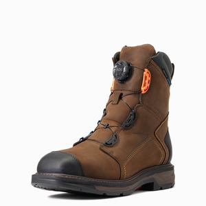 Ariat WorkHog XT 8" BOA Vattentäta Carbon Tå Arbetskängor Herr Choklad Bruna | 125-OVALHX