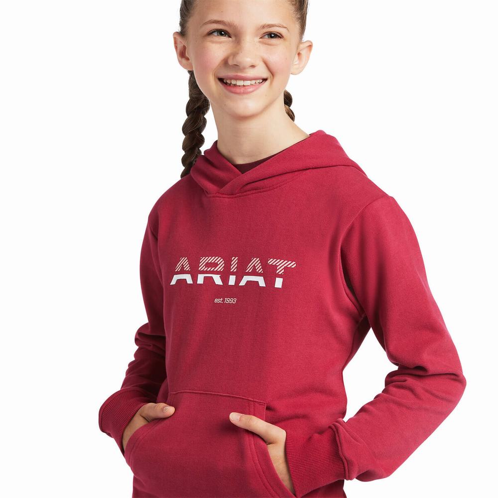 Ariat 3D Logo 2.0 Hoodie Barn Röda | 260-WMTPZH