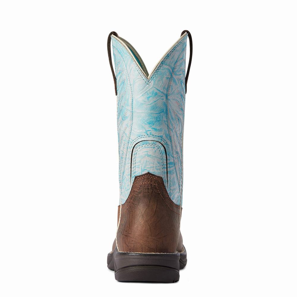 Ariat Anthem 2.0 Western Stövlar Dam Olika Färger | 074-MPBTEX