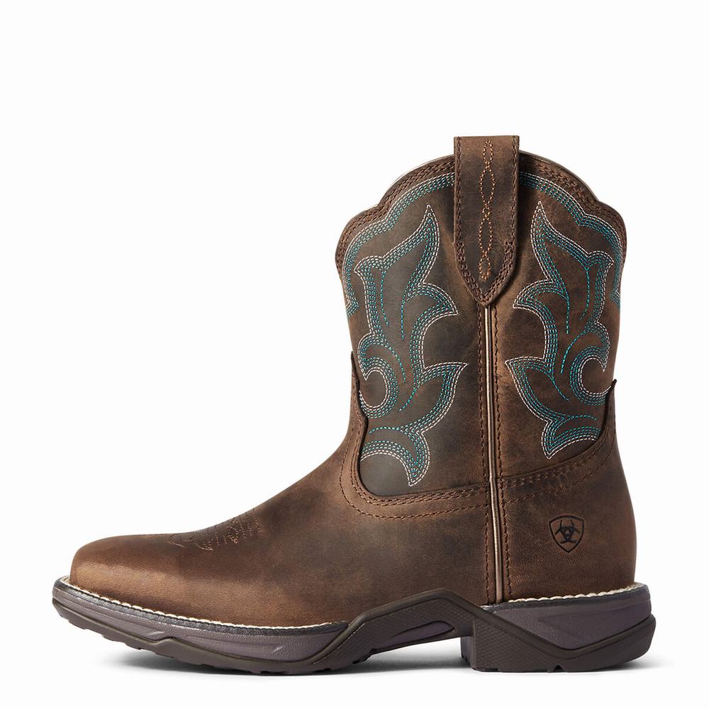 Ariat Anthem II Western Stövlar Dam Bruna | 749-WAMPVT