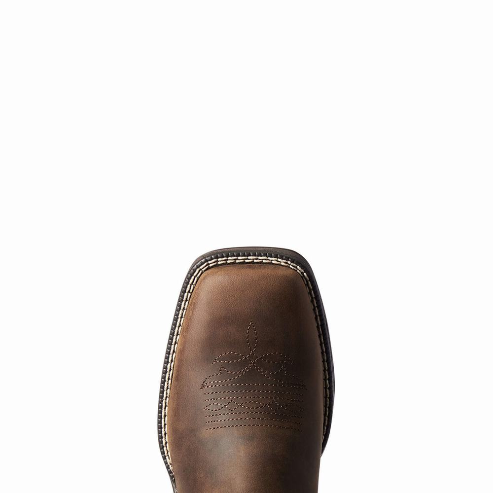 Ariat Anthem II Western Stövlar Dam Bruna | 749-WAMPVT