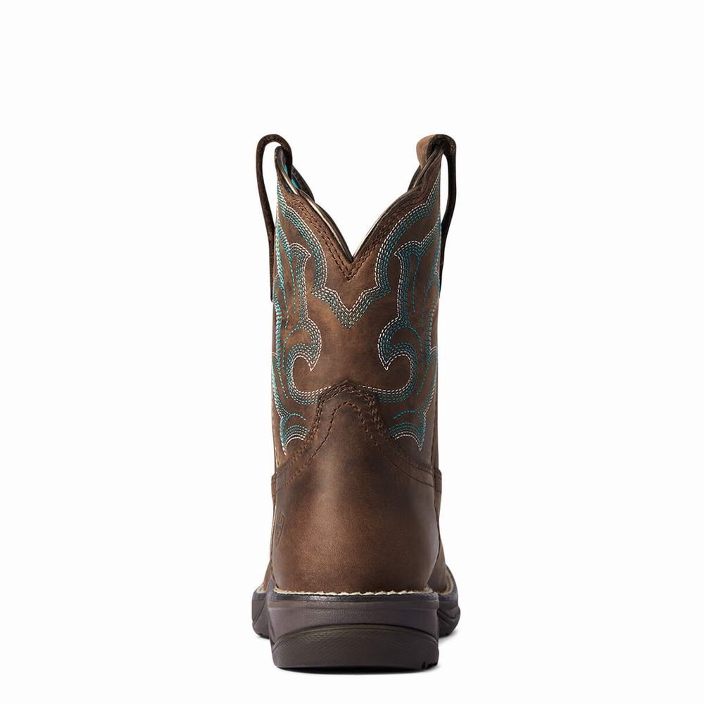 Ariat Anthem II Western Stövlar Dam Bruna | 749-WAMPVT