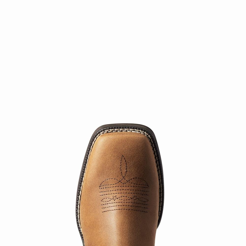 Ariat Anthem Patriot Western Stövlar Dam Röda Bruna | 763-PQRJGH