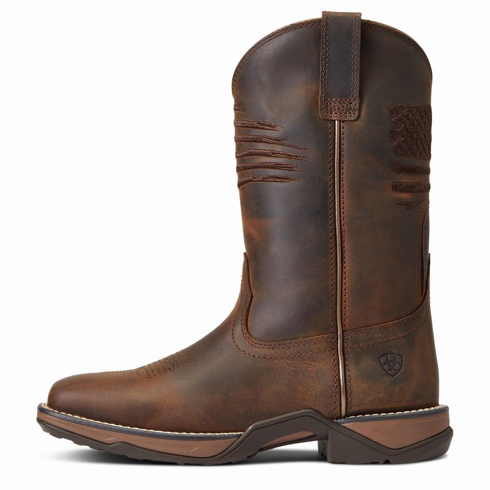 Ariat Anthem Patriot Western Stövlar Dam Bruna | 937-QGJHPN