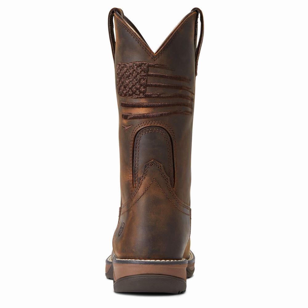 Ariat Anthem Patriot Western Stövlar Dam Bruna | 937-QGJHPN