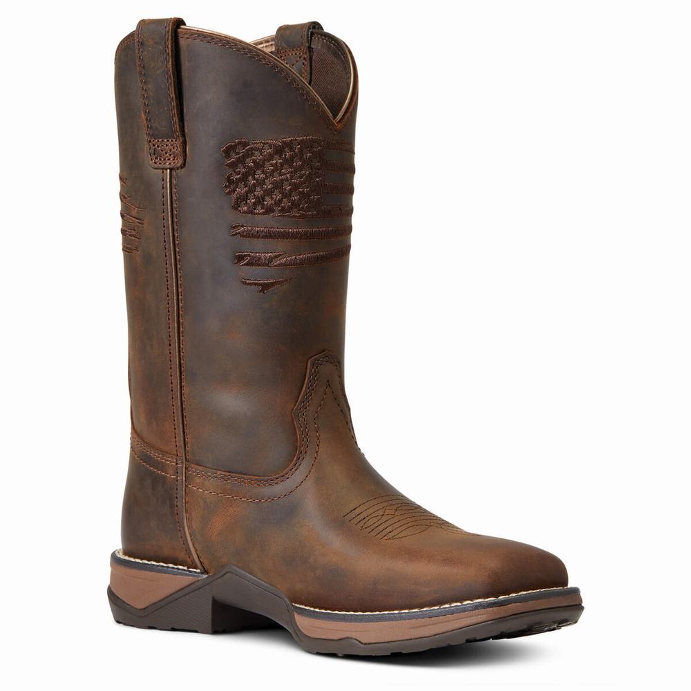 Ariat Anthem Patriot Western Stövlar Dam Bruna | 937-QGJHPN