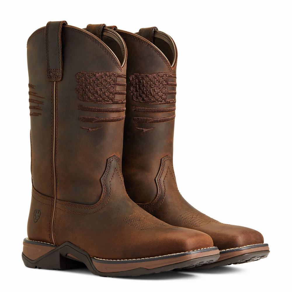 Ariat Anthem Patriot Western Stövlar Dam Bruna | 937-QGJHPN