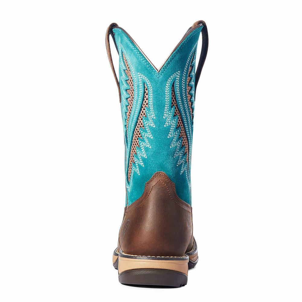 Ariat Anthem VentTEK Western Stövlar Dam Choklad | 968-LVWJQX