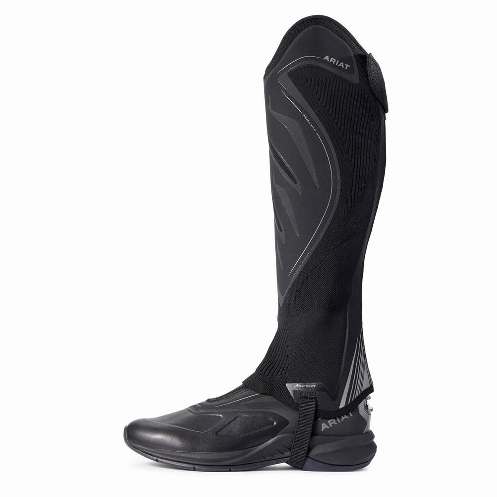 Ariat Ascent Half Chap Ridstövlar Dam Svarta | 631-SGKPLD