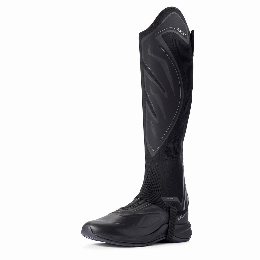 Ariat Ascent Half Chap Ridstövlar Dam Svarta | 631-SGKPLD