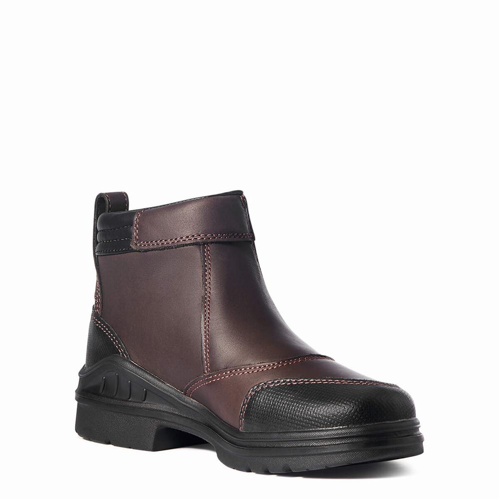 Ariat Barnyard Side Zip Ridstövlar Dam Mörkbruna | 086-ICNYBG