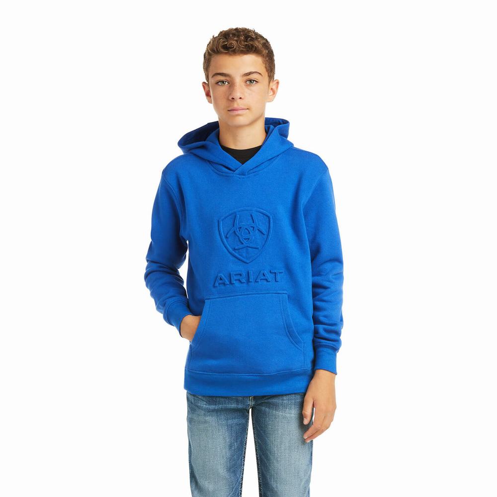 Ariat Basic Hoodie Barn Mörkblå | 458-ZYSQJW