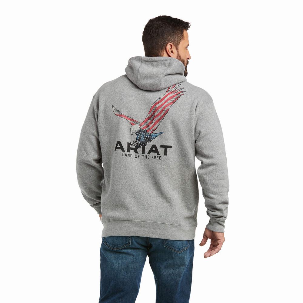 Ariat Basic Hoodie Herr Grå | 853-NRXAOT