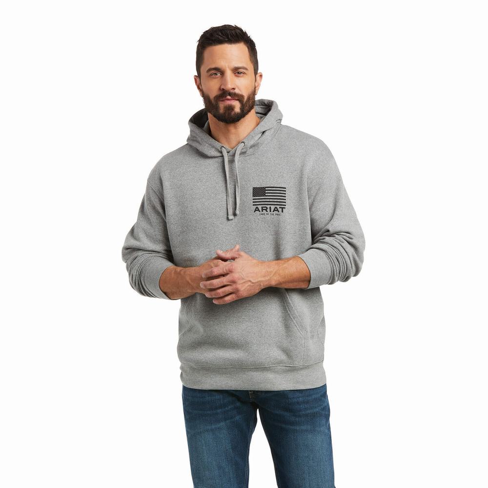 Ariat Basic Hoodie Herr Grå | 853-NRXAOT