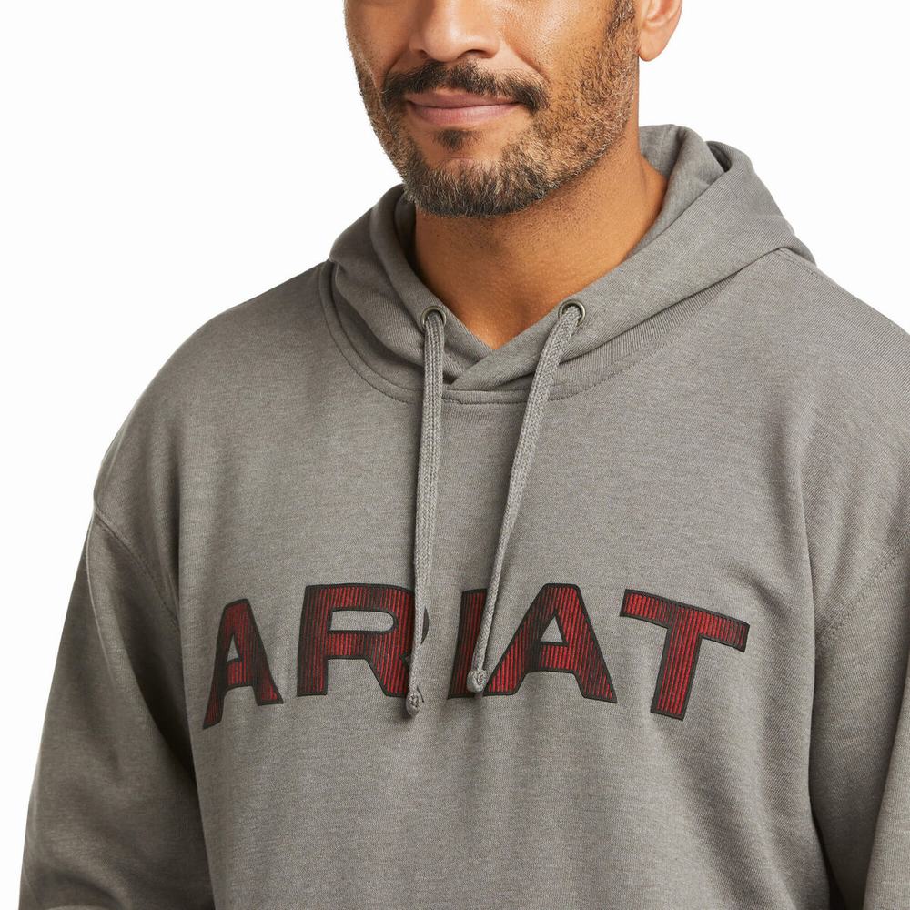 Ariat Basic Hoodie Herr Grå Röda | 063-CANPFY