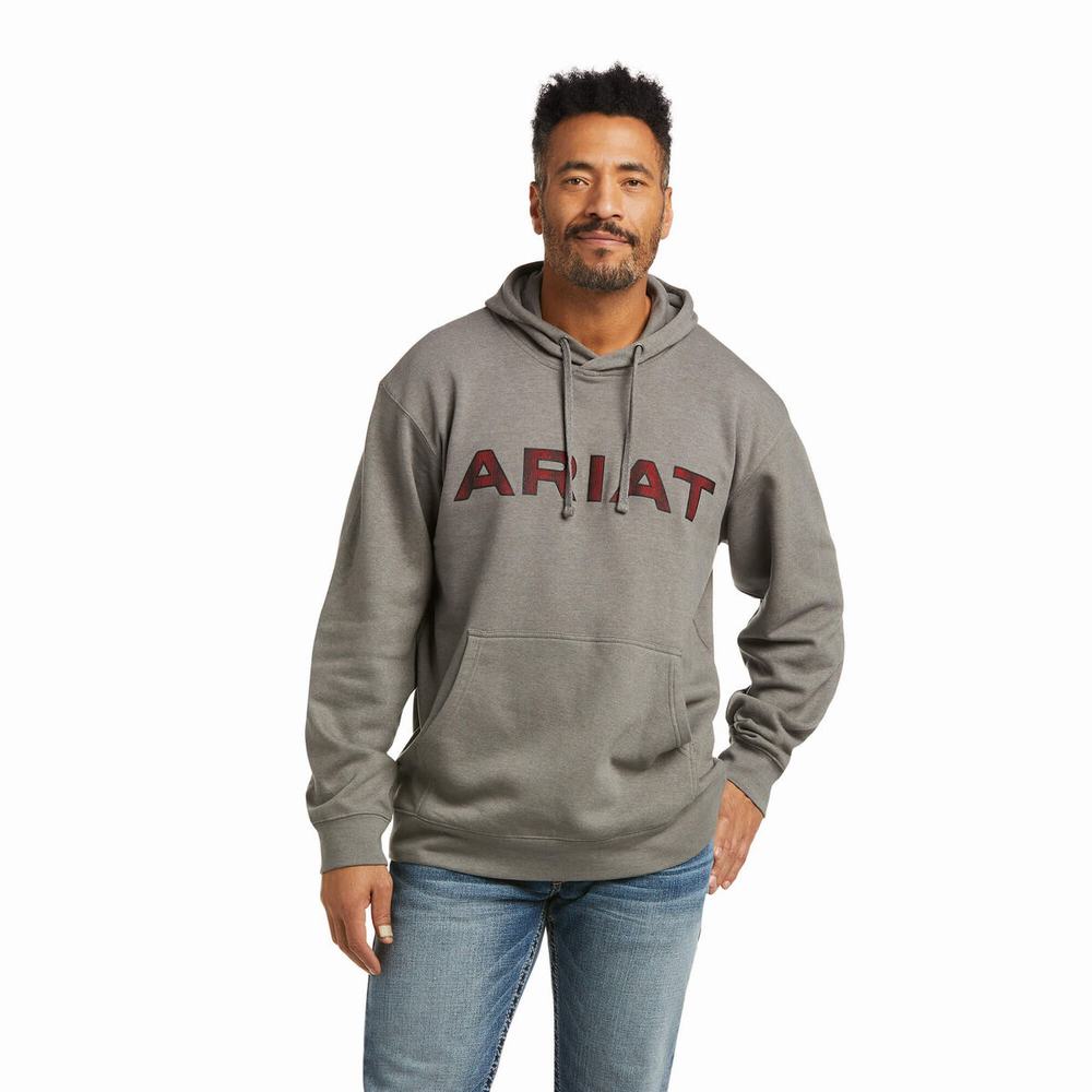 Ariat Basic Hoodie Herr Grå Röda | 063-CANPFY