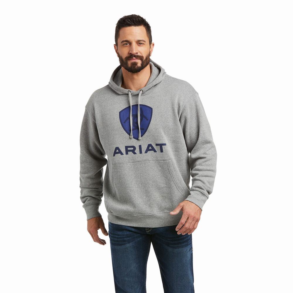 Ariat Basic Hoodie Herr Mörkblå | 459-FEOIQS