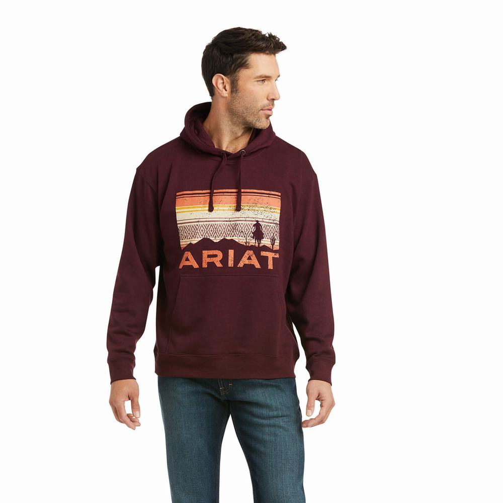 Ariat Basic Hoodie Herr Olika Färger | 765-UWNKEC