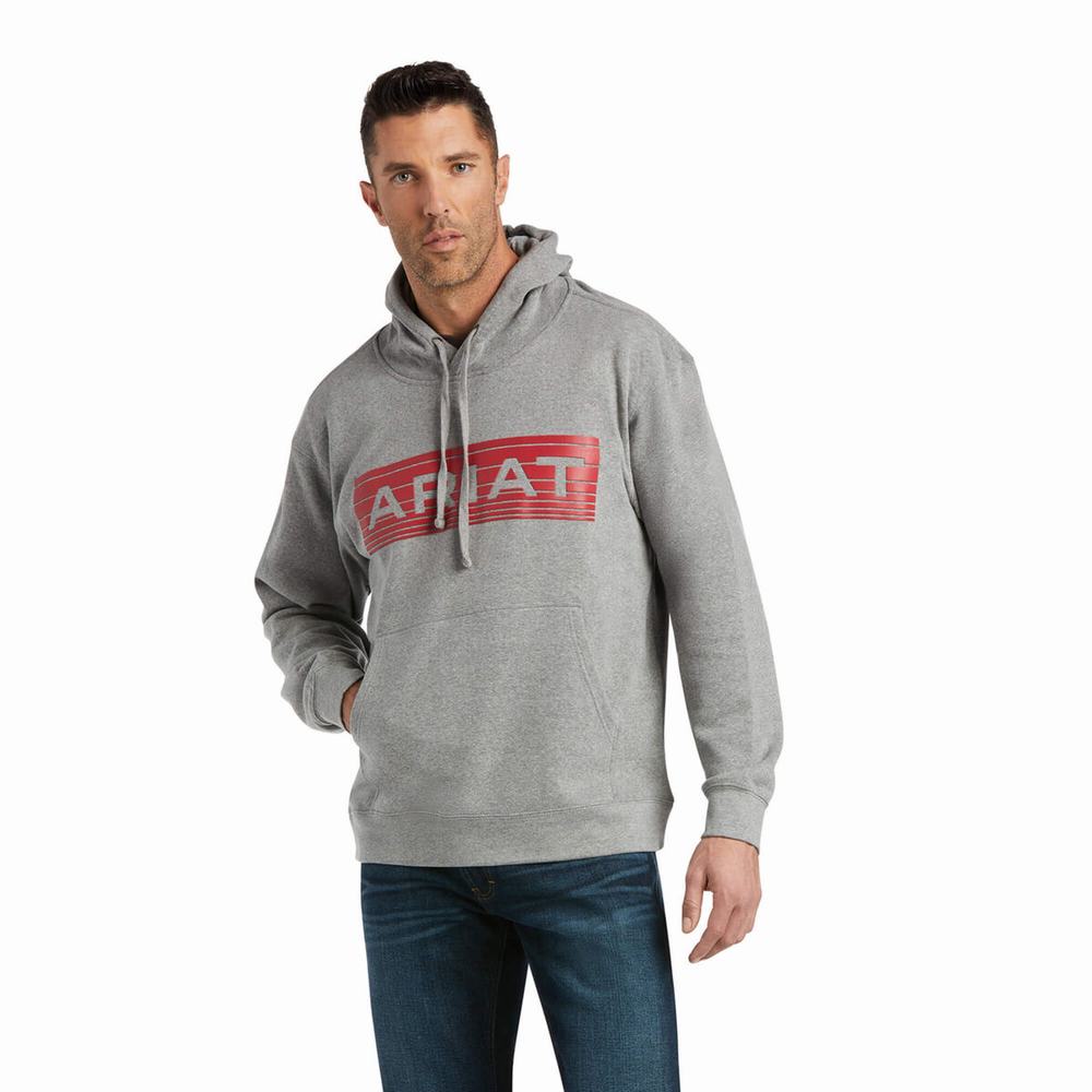 Ariat Basic Hoodie Herr Orange | 148-TVQDIG