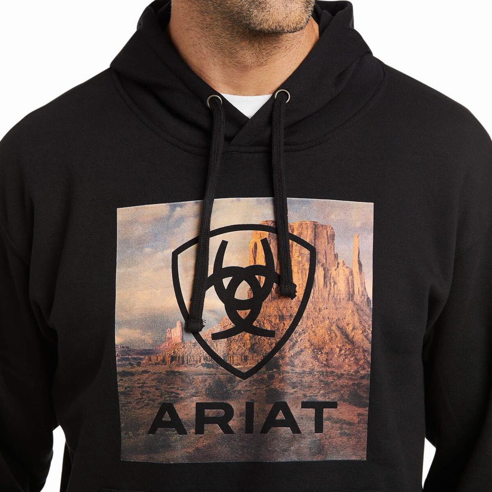 Ariat Basic Hoodie Herr Svarta | 489-YVUITQ