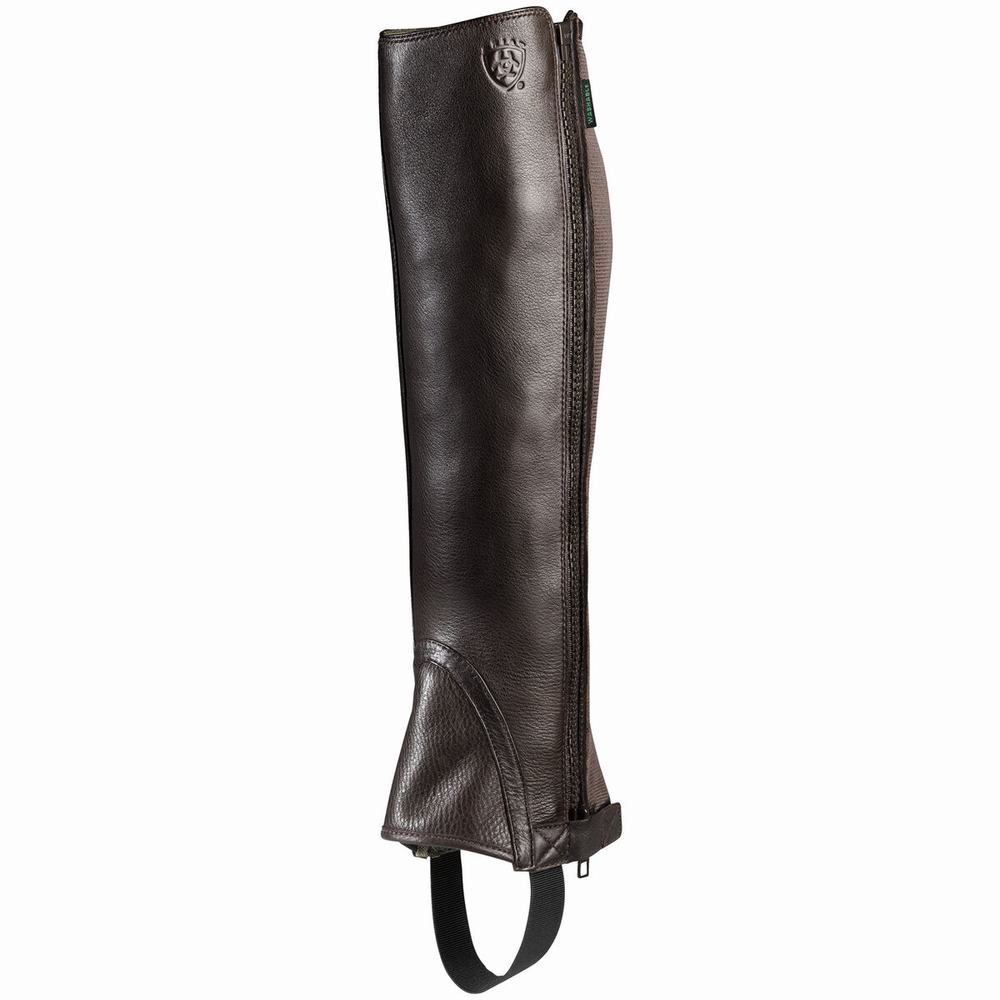 Ariat Breeze Chap Half Chap Ridstövlar Dam Choklad | 743-QPWNOL