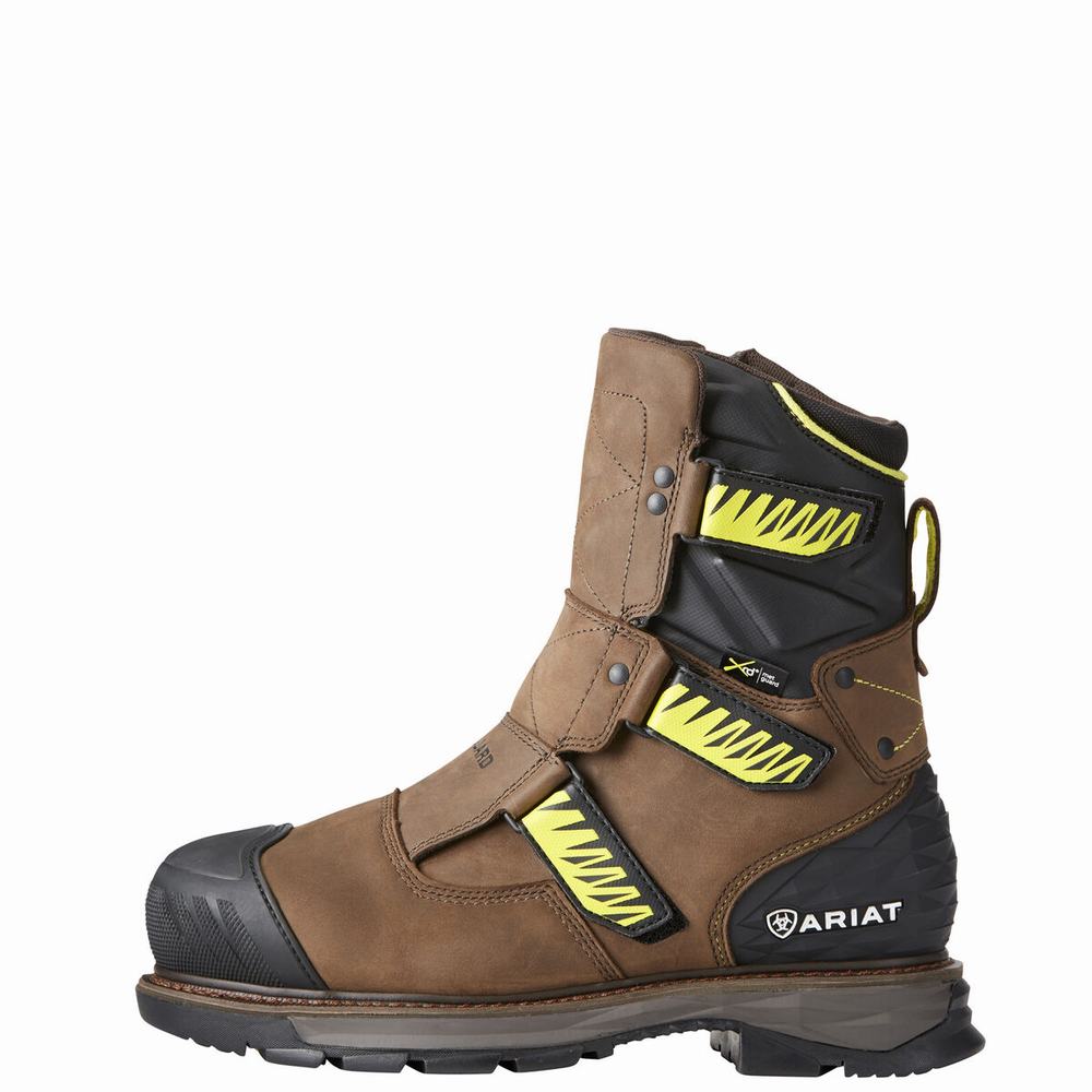 Ariat Catalyst VX 8