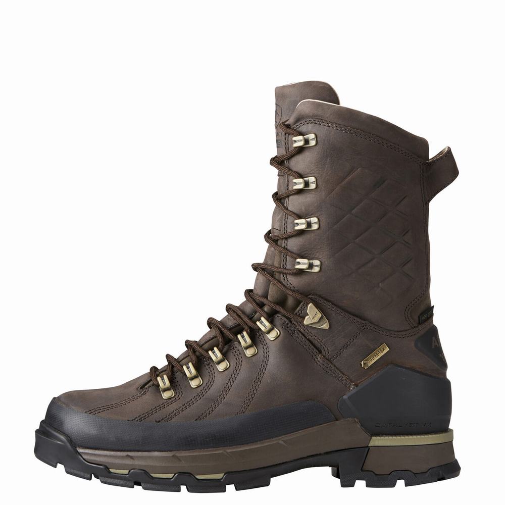 Ariat Catalyst VX Defiant 10