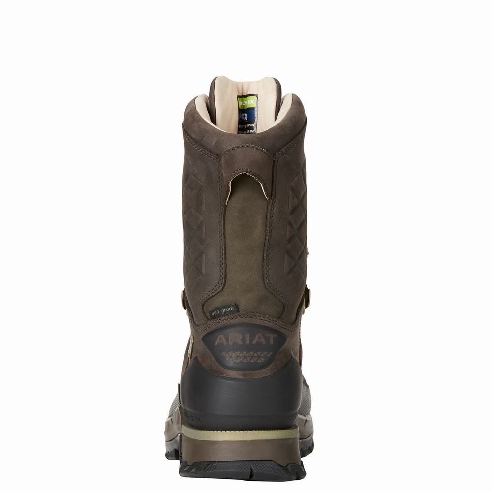 Ariat Catalyst VX Defiant 10