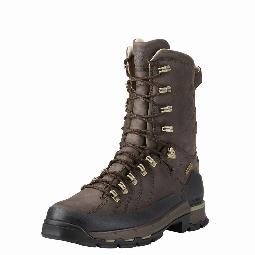 Ariat Catalyst VX Defiant 10\