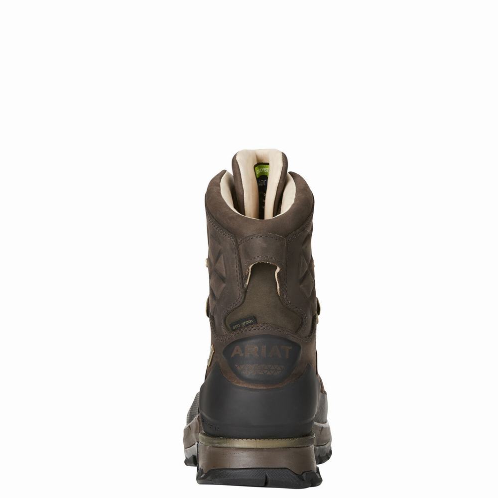 Ariat Catalyst VX Defiant 8