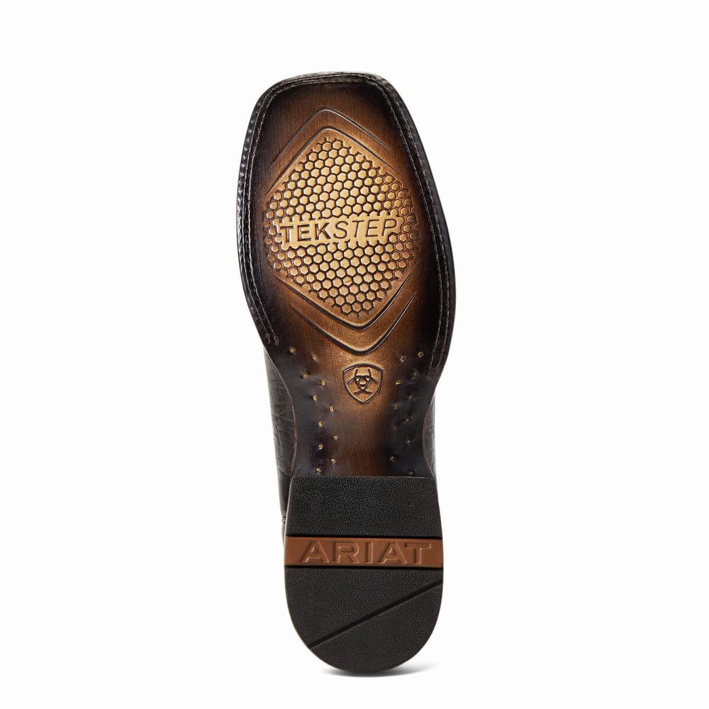 Ariat Circuit Eagle Western Stövlar Herr Bruna | 369-DXKGJW