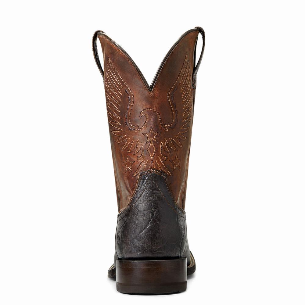 Ariat Circuit Eagle Western Stövlar Herr Bruna | 369-DXKGJW