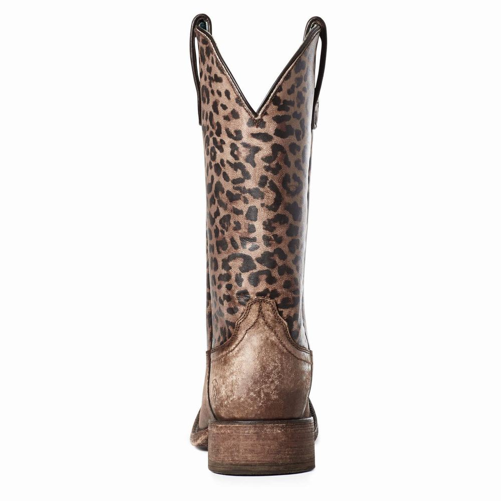 Ariat Circuit Savanna Western Stövlar Dam Bruna | 471-QKMOXR