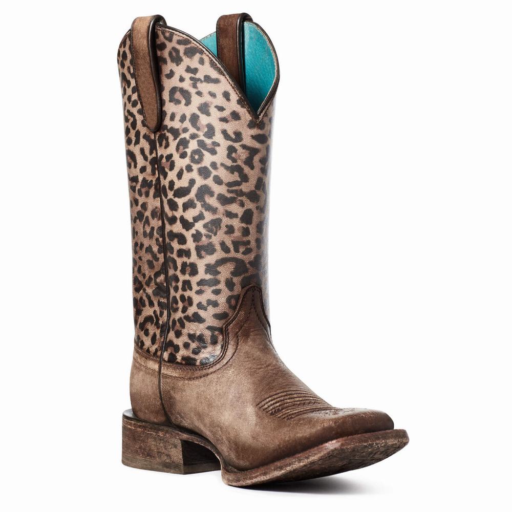 Ariat Circuit Savanna Western Stövlar Dam Bruna | 471-QKMOXR