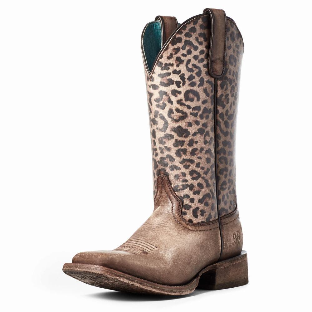 Ariat Circuit Savanna Western Stövlar Dam Bruna | 471-QKMOXR