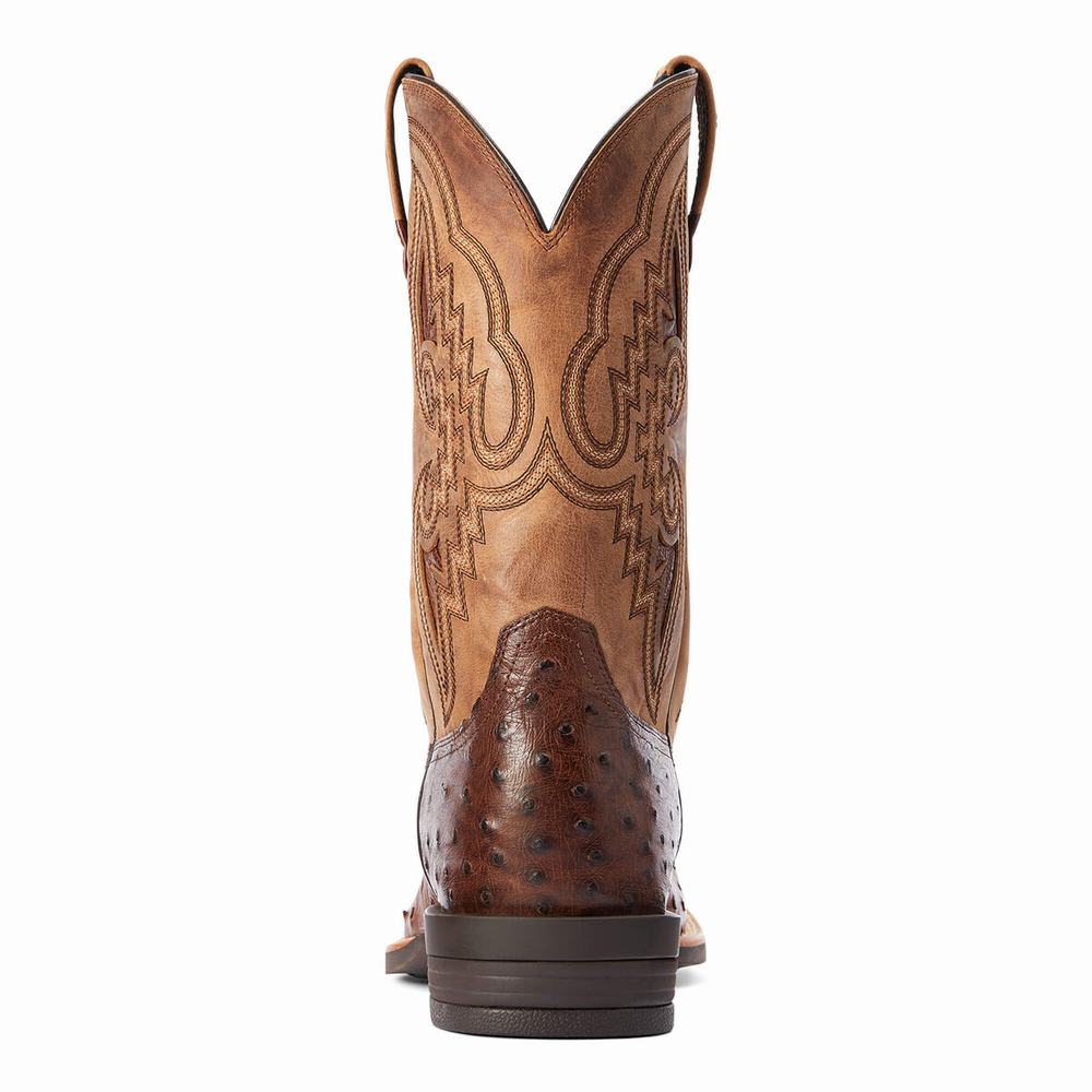 Ariat Dagger Western Stövlar Herr Olika Färger | 361-FXKHGZ