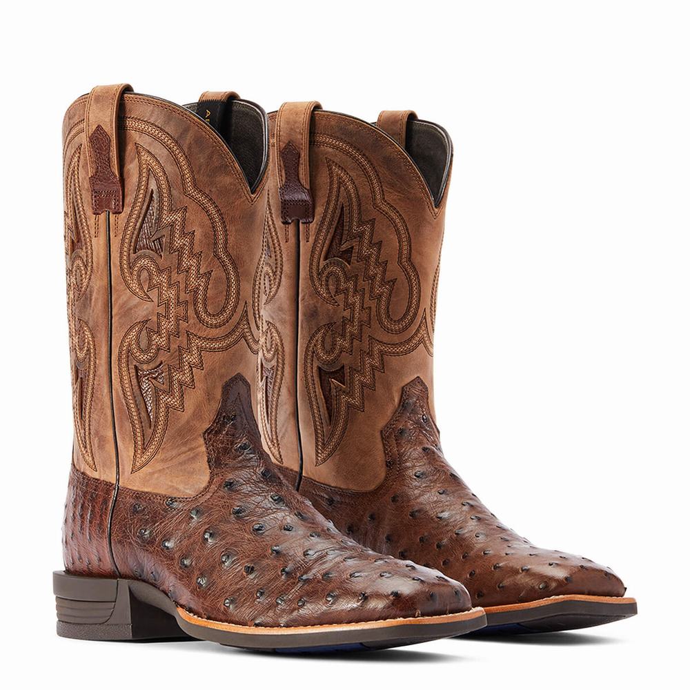 Ariat Dagger Western Stövlar Herr Olika Färger | 361-FXKHGZ