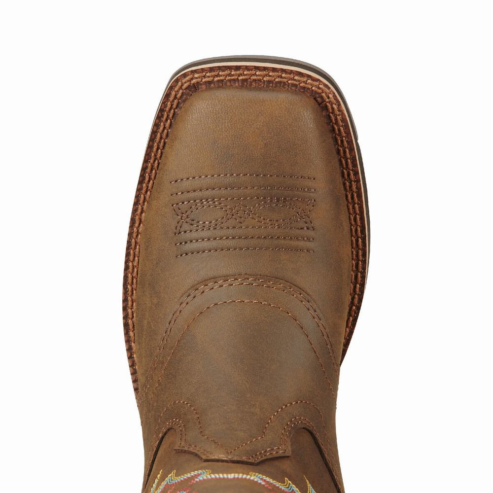 Ariat Delilah Western Stövlar Dam Bruna | 915-BUCZPQ