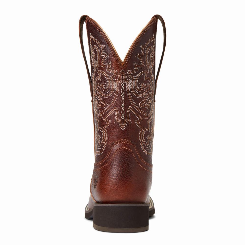 Ariat Delilah Western Stövlar Dam Olika Färger | 138-UOGBKJ