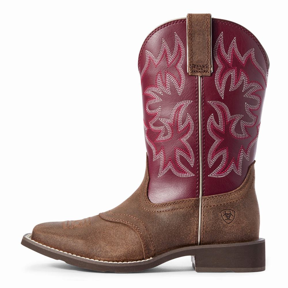 Ariat Delilah Western Stövlar Dam Olika Färger | 879-CTSULY