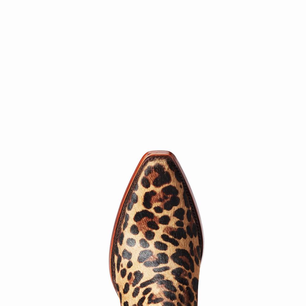 Ariat Dixon Haircalf Kängor Dam Leopard | 329-VHEFRA