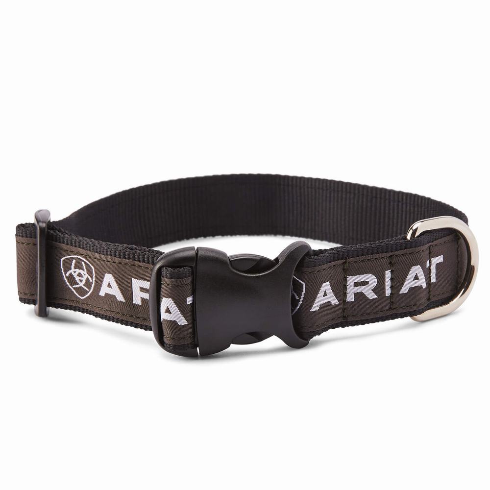 Ariat Dog Collar Tillbehör Dam Svarta Grå | 327-HPJVUT