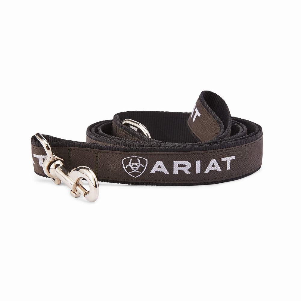 Ariat Dog Leash Tillbehör Dam Svarta Grå | 401-JMFCQI